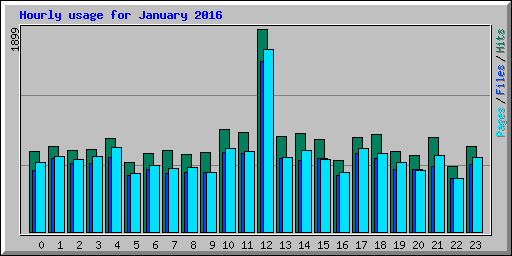 Hourly usage for January 2016